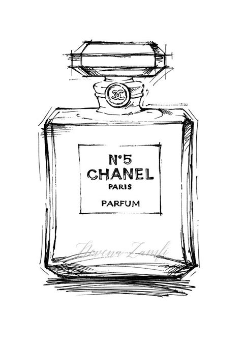 chanel no 5 drawing